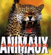 animaux-sauvages