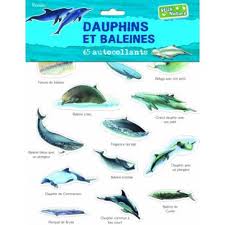 dauphins-et-baleines-65-autocollants