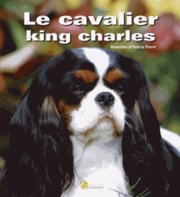 le-cavalier-king-charles