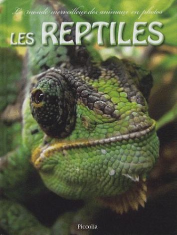 le-monde-merveilleux-des-animaux-en-photos-les-reptiles