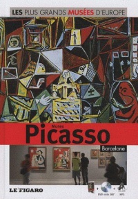 les-plus-grands-musees-d-europe-museu-picasso-barcelone-dvd-volume-7