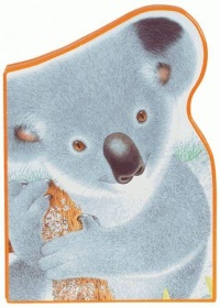 polka-le-koala