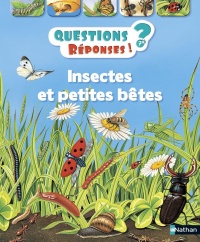 questions-reponses-insectes-et-petites-betes-7